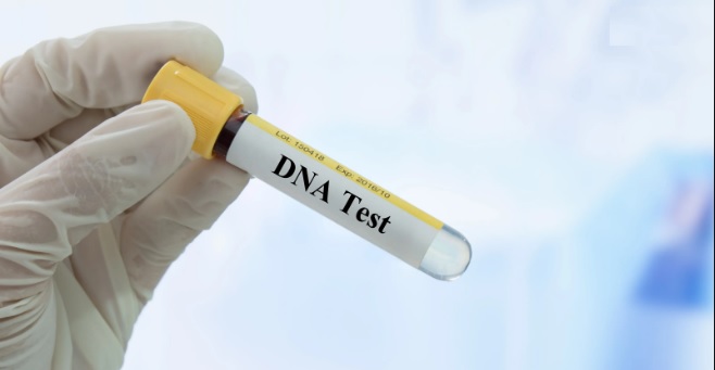 DNA test kit cheap